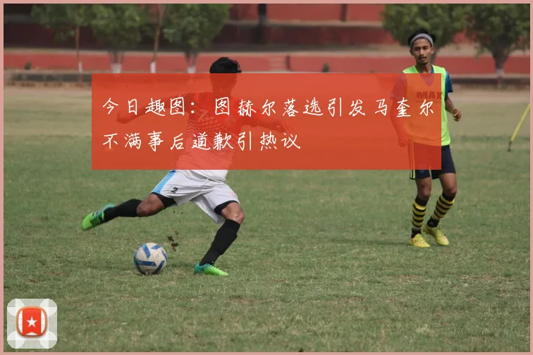 今日趣图：图赫尔落选引发马奎尔不满事后道歉引热议
